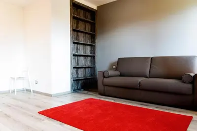 a living room with a brown couch and a red rug at Roma Ariston 7 in Bolzano