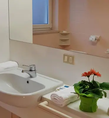 a bathroom with a sink and a potted plant on a counter at CASA CAVALESE in Cavalese