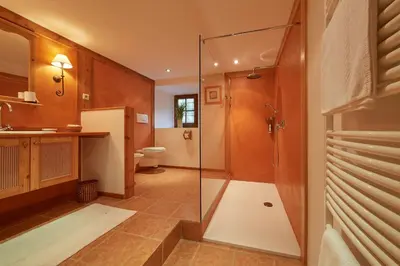 a bathroom with a shower and a sink and a toilet at Ferienapartments Gutshof Brandis in Lana