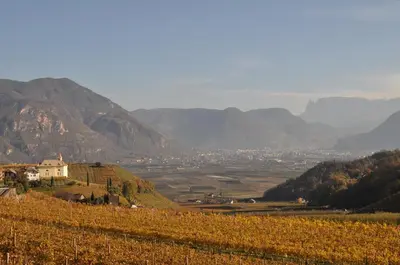 a vineyard on a hill with mountains in the background at Firmelein in Appiano sulla Strada del Vino