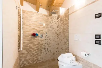 a bathroom with a shower with a toilet in it at Cèsa Baissa in Campitello di Fassa