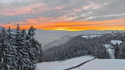 a view of a snow covered forest with a sunset at Vidora Apartments in Soprabolzano