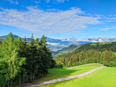 a green field with trees and a road at Vidora Apartments in Soprabolzano