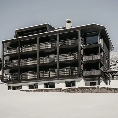 Dolomites Chalet Niuasi