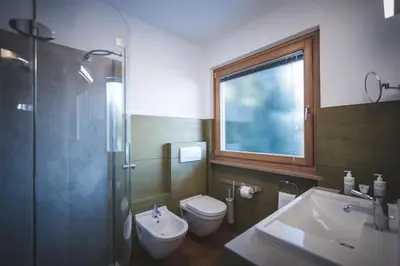 a bathroom with a toilet and a sink and a shower at Dolce Vita Apartment in Valdaora