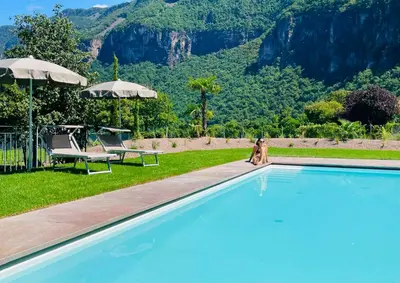 a dog sitting next to a swimming pool at Hotel Turmwirt in Ora/Auer