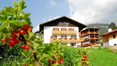 a building on the side of a hill with holly at Garni Karlegger in Siusi