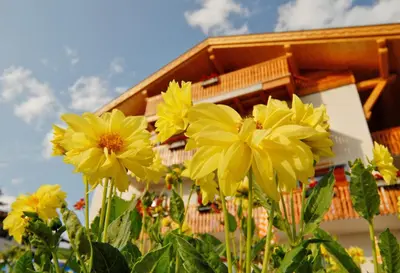 a group of yellow flowers in front of a building at Garni Karlegger in Siusi