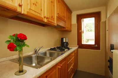 a kitchen with a sink and a vase with red roses at Garni Karlegger in Siusi