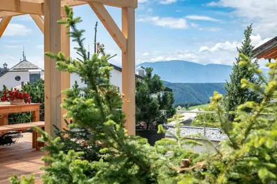 a view from the deck of a house with christmas trees at Apparthotel Feldhof - Living and Bistro in Nova Ponente