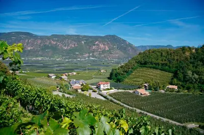 a village in a vineyard with mountains in the background at Hotel Unterrain in Appiano sulla Strada del Vino