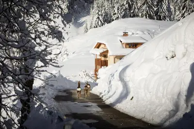 two people bicycling down a snow covered road at Sotciastel Antico Chalet in Badia