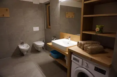 a bathroom with a sink and a toilet and a washing machine at Niederhaushof in Santa Valburga St. Walburg