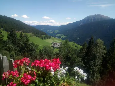 a view of a valley with flowers on a hill at Niederhaushof in Santa Valburga St. Walburg