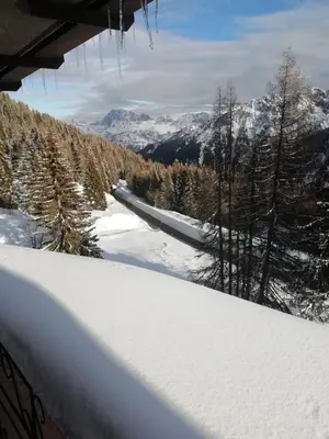 a car parked on the side of a road next to a tree at Il Cirmolo delle Saline in Falcade