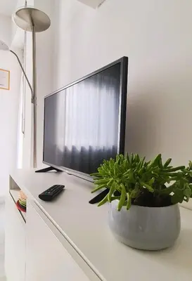 a tv sitting on top of a table with a plant at Appartamento Nadia, bilocale nel verde a 5 minuti dal centro in Merano