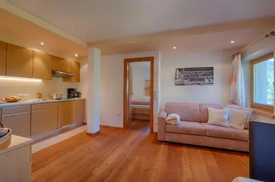 a wooden sauna with a television in it at Apartments Kaserott in Villnoss