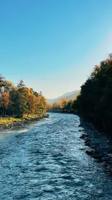a river with trees on the side of it at Nina • Parchi e Fiume in Bressanone