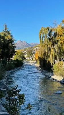 a river with a tree hanging over it at Nina • Parchi e Fiume in Bressanone