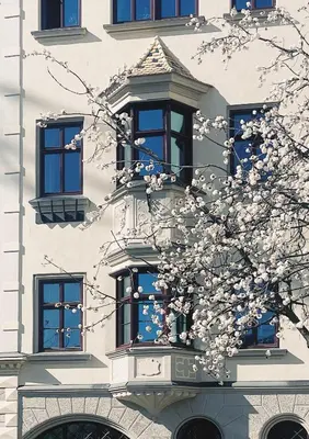 a flowering tree in front of a building with windows at Nina • Parchi e Fiume in Bressanone