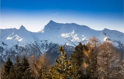 a snow covered mountain range with a tree in the foreground at Chalet Luisa in Predazzo