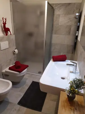 a bathroom with a sink and a toilet and a shower at Apartments Ban Guggugg in Colle Isarco