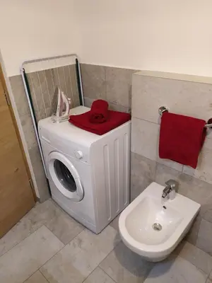 a washing machine and a sink in a bathroom at Apartments Ban Guggugg in Colle Isarco