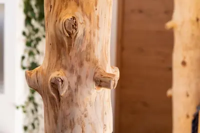 a close up of a wooden pole with knots in it at Appartments zum Beck in Eggen
