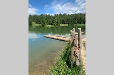 a view of a lake with a wooden fence at Residence Bellavista in Fondo