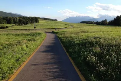 a road in the middle of a field at Residence Bellavista in Fondo