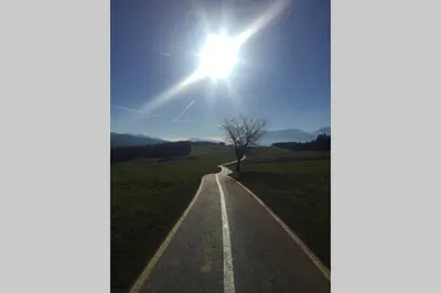a sun shines over a road in a field at Residence Bellavista in Fondo