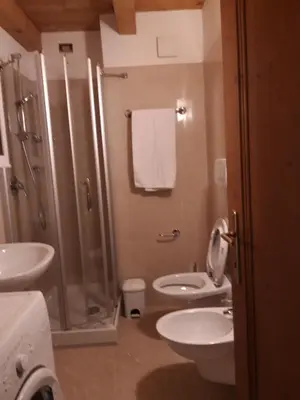 a bathroom with a shower and a toilet and a sink at Mansarda 4 posti letto in Villa a Borca di Cadore in Villanova
