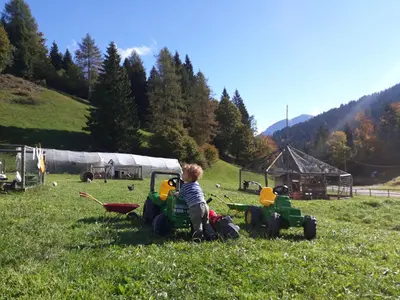a young boy playing with toy tractors in a field at Agritur Broch in Fiera di Primiero