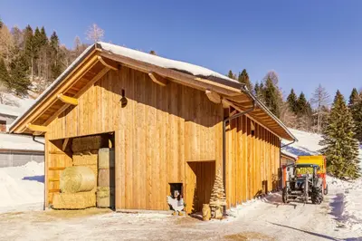 a wooden barn with a dog standing outside of it at Agritur Broch in Fiera di Primiero