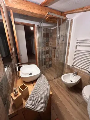 a bathroom with a sink and a toilet and a shower at Agritur Broch in Fiera di Primiero