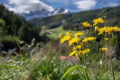 a person sitting in the grass in a yard at Willmüllerhof in Perca