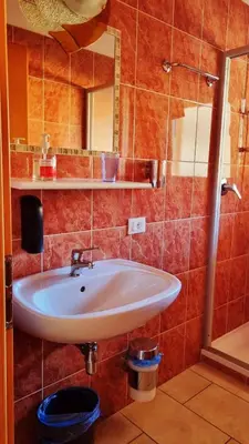 a bathroom with a sink and a shower at B&B Maya in Merano