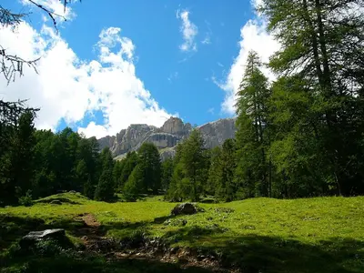 a green field with trees and mountains in the background at La casa! in Vigo di Fassa
