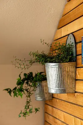 two potted plants on the side of a wall at haus urban in Barbiano