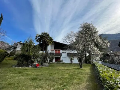 a white house with a tree in the yard at Naif-Home in Merano
