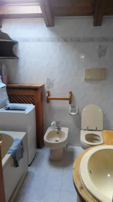 a bathroom with a toilet and a sink at Casa Alpina in Cencenighe