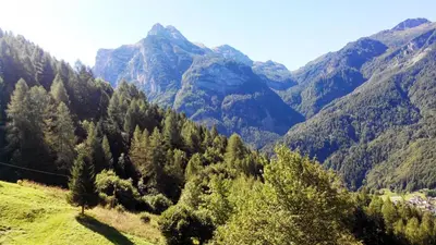 a mountain valley with trees and mountains in the background at Casa Alpina in Cencenighe
