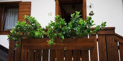 a wooden planter with plants on a balcony at Casa Alpina in Cencenighe