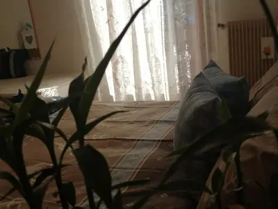 a bedroom with a bed with a pillow and a window at Casa Minela in Falcade