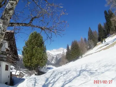 a snow covered slope with a tree and a mountain at Piccola Stella Alpina in Canale dʼAgordo