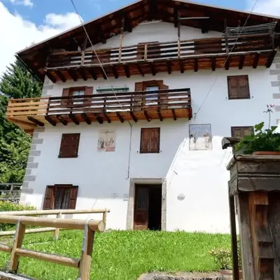 Piccola Stella Alpina