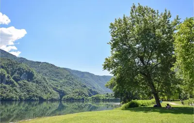 a tree on a grassy hill next to a lake at Beautiful Home In Castello Tesino in Castello Tesino