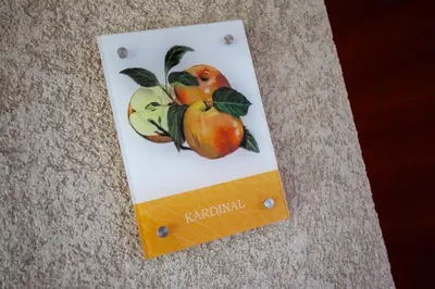 a box with a picture of fruit on it at Hof Schupfer - Alpstay in Naturno