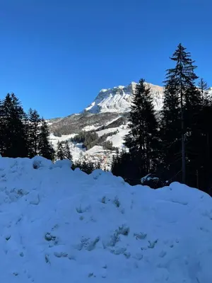 a mountain covered in snow with trees in the background at ALBERGO BAR RISTORANTE DOLOMIA in Badia