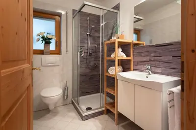 a bathroom with a shower and a sink and a toilet at Nuierhof in Castelrotto